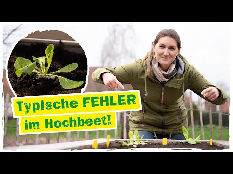 FEHLER IM HOCHBEET: Alles worauf du achten musst! 🧐
