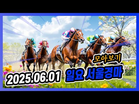 2025년 6월 1일 일요 서울경마 전체경주 모아보기
