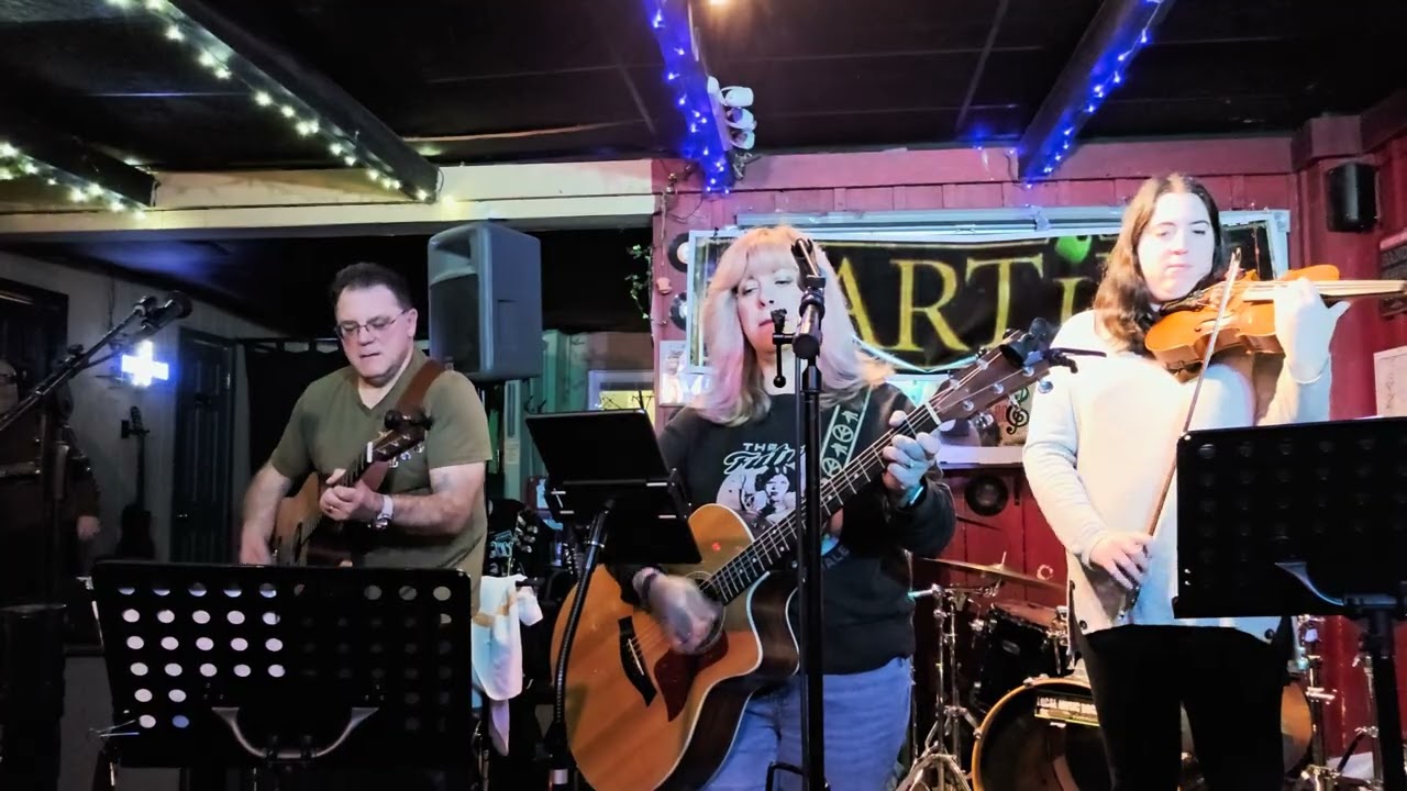 Promotional video thumbnail 1 for Stardust Acoustic