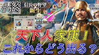 【信長の野望新生】大阪決戦を制した家康　秀吉の首級を挙げる為さらに侵攻し　更に各地の大名を懐柔に乗り出す！ここに江戸幕府なり！#終【上級】