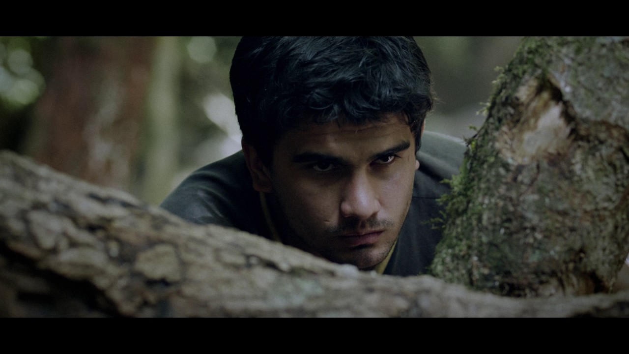 Rifle | Trailer Oficial