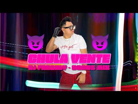 🔥CHULA VENTE🔥DJ FRESHLY GOGOS MIX (Visualizer)
