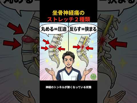 YouTube動画