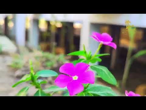 Belabhumi Resort & Villa (Sampan Beach,Inani,Marine Drive Road, Cox's Bazar) 