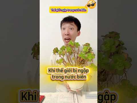Khi thế giới bị ngập trong nước biển #haihuoc #giaitri #shorts