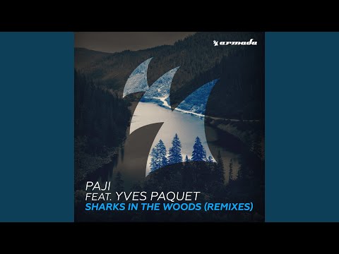 Sharks In The Woods (Acoustic Version)