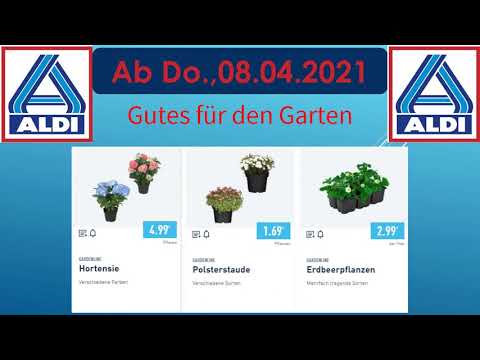 ALDI NORD 08.04.2021 KINDERMODE - GARTEN AB INS GRÜNE LIDL / ALDI / EDEKA - NEUE PRODUKTE Prospekt