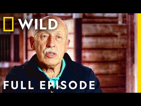 Talk Turkey to Me (Full Episode) | The Incredible Dr. Pol