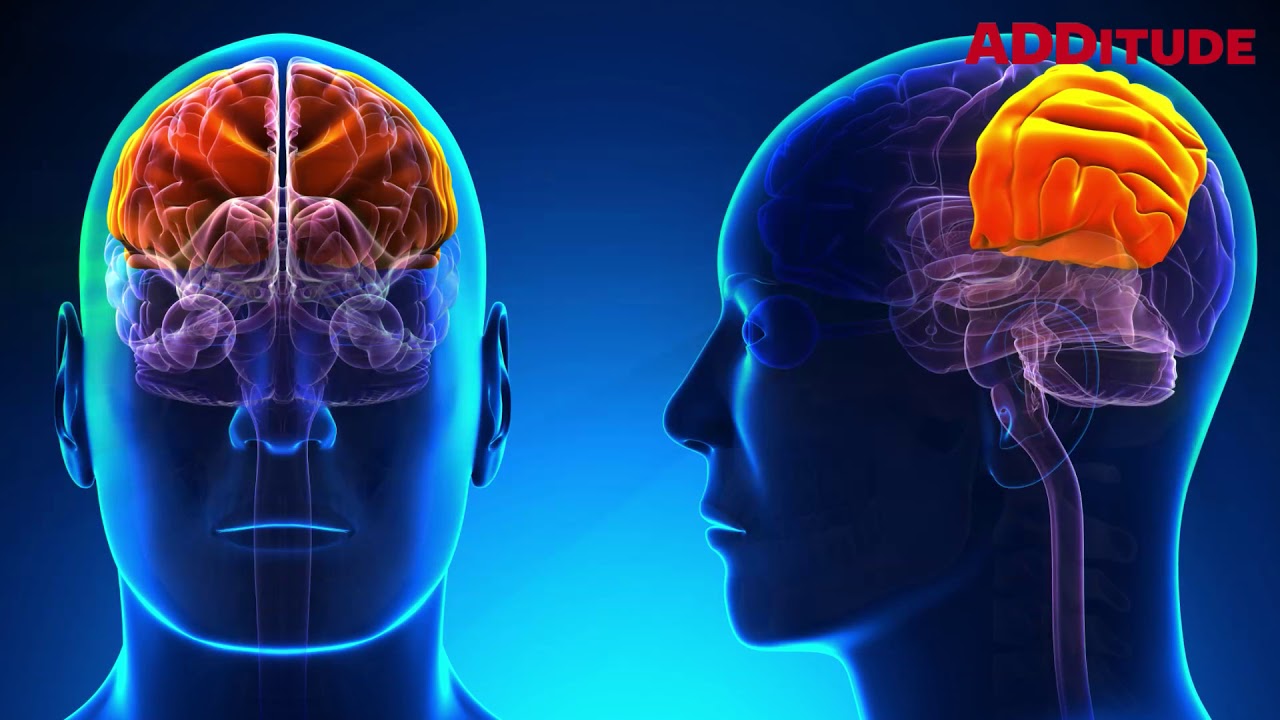 How ADHD Makes You Inattentive: The ADD Brain