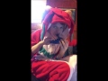 Adol Roo Plays Feena Song