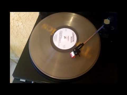 The Megatrons - Rock The Planet (Dub Version) Vinyl Unofficial