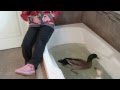 MVI 2980 Rubber Ducky You Re The One