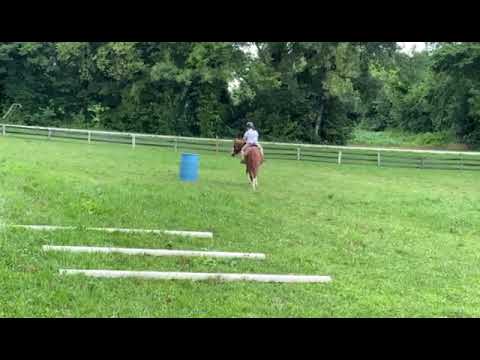 Bristol Riley showing Flash W/T trail pattern