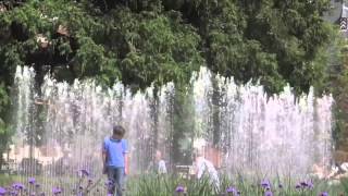 Meet Me In The City- North Mississippi Allstars