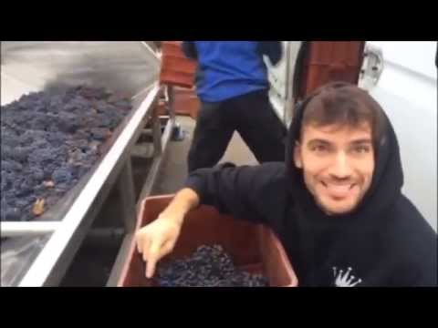 Bekim Lyžuje - Naozaj