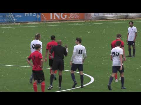 Samenvatting Swift - De Dijk (2 november 2019)