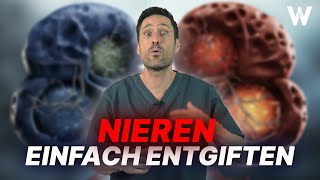 Nieren entgiften: 7 TOP Lebensmittel für eine gesunde Nierenpflege! Entgiftung auf dem Prüfstand