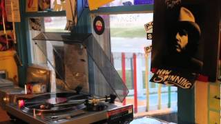 Tim Hardin - Bird on a Wire (VINYL Listen)