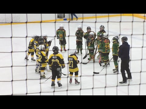 Pingviinit Kuninkaat - Ilves tytöt U8 IT-sarja