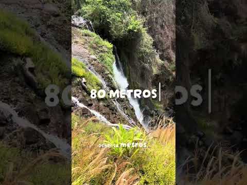 Cataratas y senderos en San Ramón de Alajuela, cerca del GAM 👀 #costarica #senderismo #dondeir
