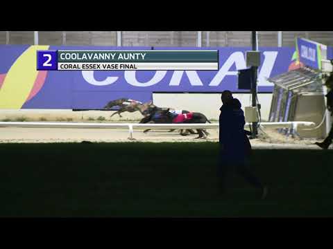 2022 ROMFORD ESSEX VASE FINAL  - T2 COOLAVANNY AUNTY