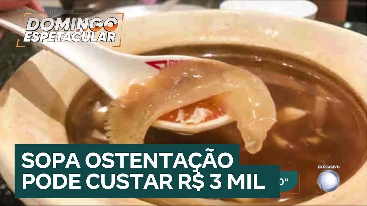 Exclusivo: saiba como funciona o mercado clandestino de barbatanas de tubarão