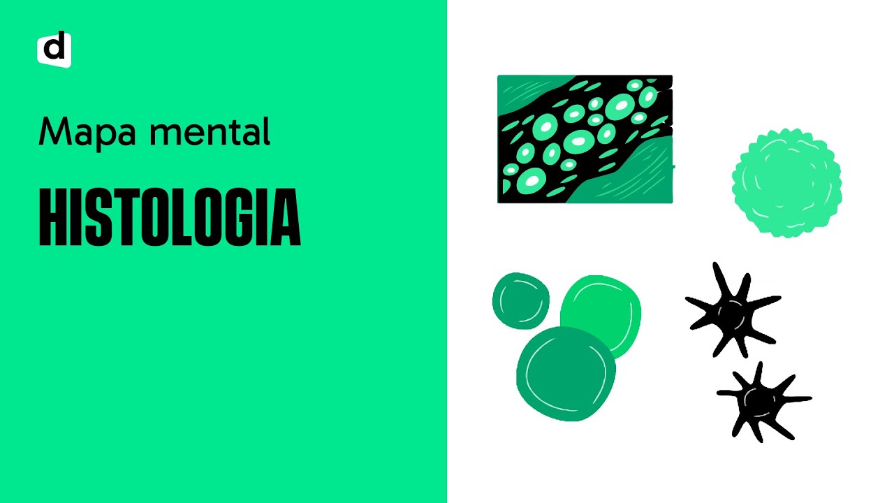 HISTOLOGIA: UM SUPER MAPA MENTAL PARA O ENEM E VESTIBULARES