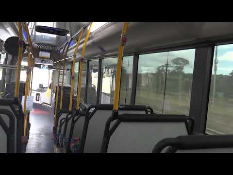 Scania K320UB (Euro VI, Custom CB80) - ACTION Buses Service 983