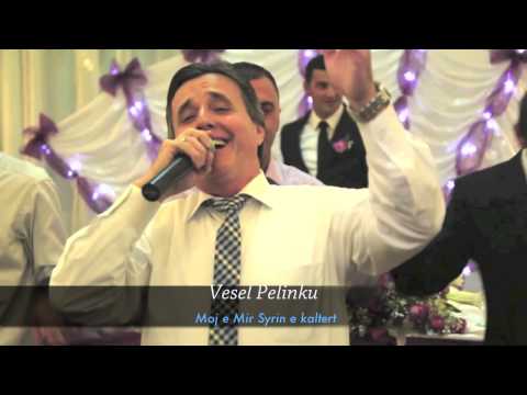 Vesel Pelinku - Moj e Mir Syrin e Kaltert