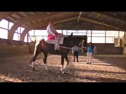 Jugendkönig von Eicklingen voltigiert