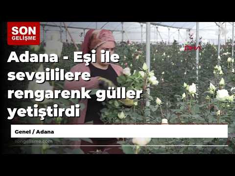 Adana - He and his wife grew colorful roses for their loved ones.
