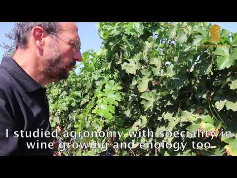 Hayotzer Winery  - Introducing Philippe Lichtenstein