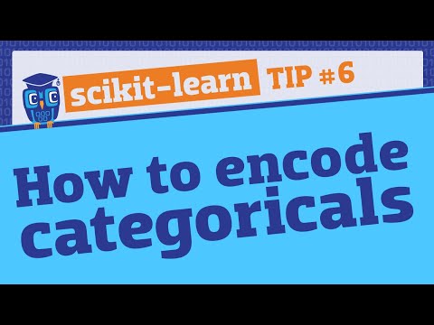 Use ColumnTransformer to apply different preprocessing to different columns