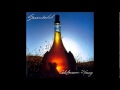 Sunchild - Last Time You'll Fool Me