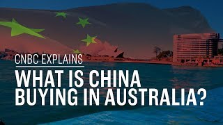 What is China buying in Australia? | CNBC Explains