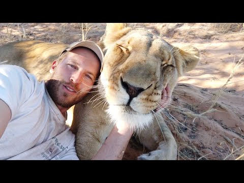 Sirga & Modisa Wildlife Project on Patreon - exclusive content of our daily life in the desert