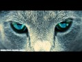 Sisma (Feat. Akaso) - OCCHI 