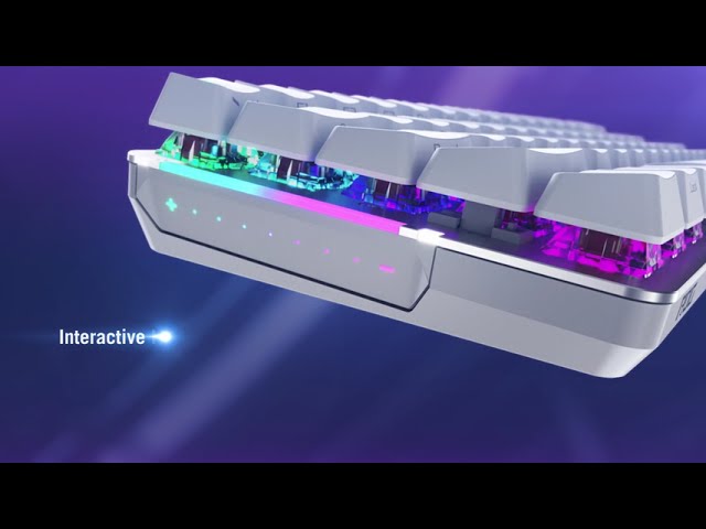 YouTube Video -