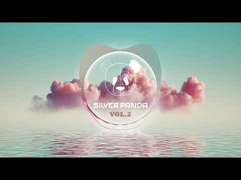 Silver Panda Melodic Sessions - Vol. 2
