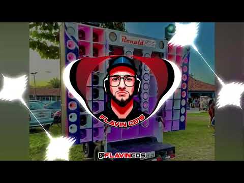 OS FERAS DO PIZEIRO - QUANDO O DJ MANDAR | Flavin CD's