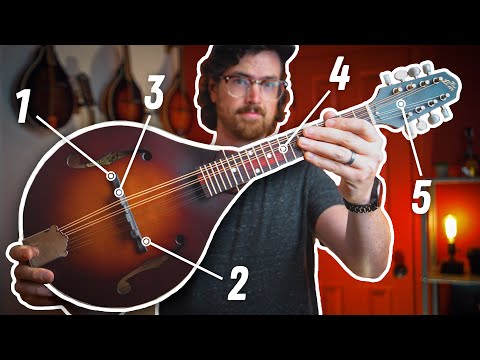 How to SET-UP a Mandolin in 5 Steps