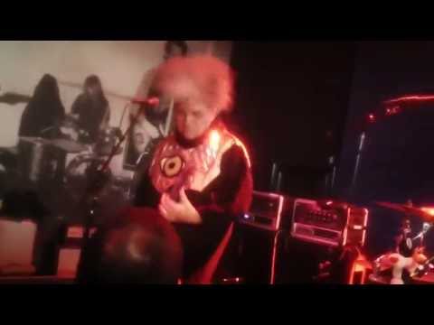 The Melvins - 