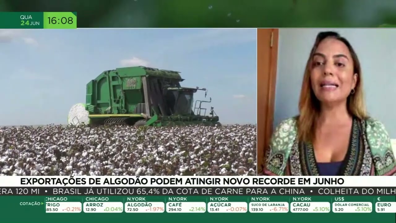 Exportações de algodão podem atingir novo recorde em junho