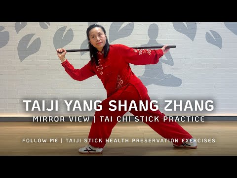 Tai Chi Stick | Taiji Yang Sheng Zhang | Follow Me Mirror Version | 太极养生杖
