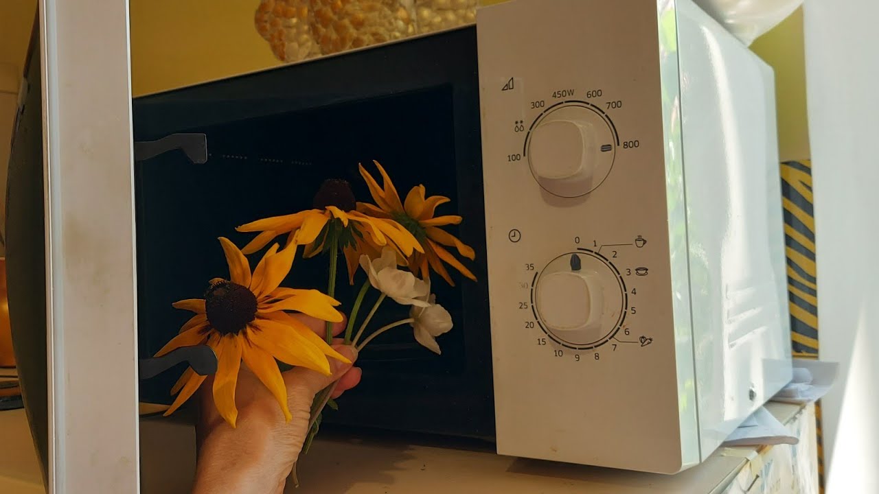 СМОТРИ САМ-СВОИМИ ГЛАЗАМИ!ОФИГЕННАЯ КРАСОТИЩА ИЗ МИКРОВОЛНОВОЙ ПЕЧИ ...