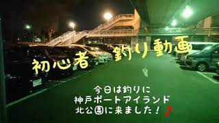 【Tears of joy】ポーアイでシーバス釣り♪
