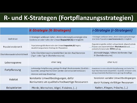 R and K strategists [reproductive strategies] - [Biology, Ecology, Upper Secondary Level]