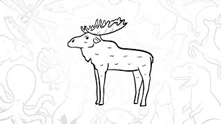 How to Draw a Simple Moose | Step-by-Step Lesson