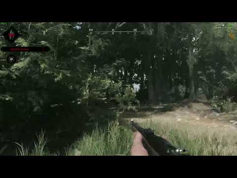 Hunt: Showdown. Making friends at the Bayou.
