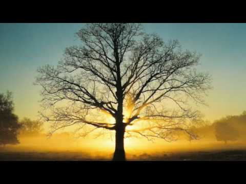 Hathbanger - Changes Remix